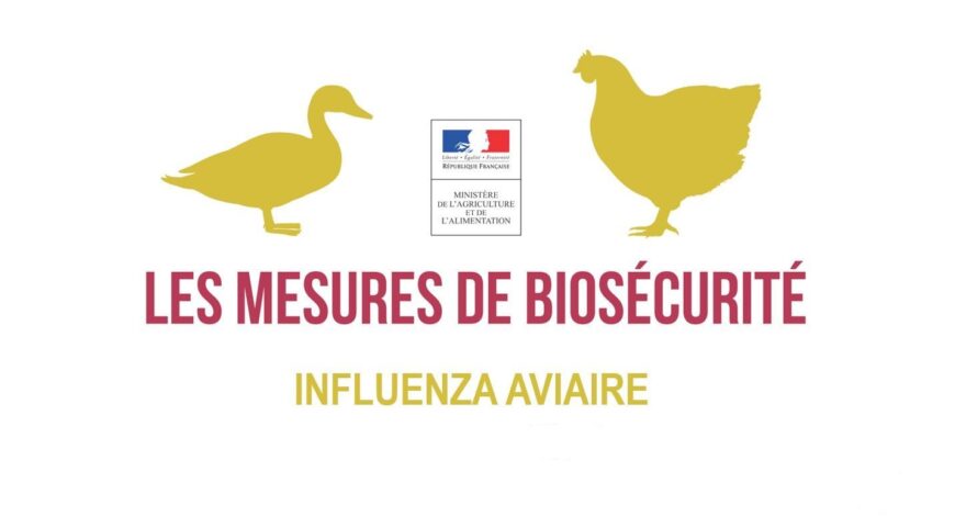 influenza-aviaire